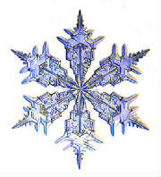 snowflake4.jpg